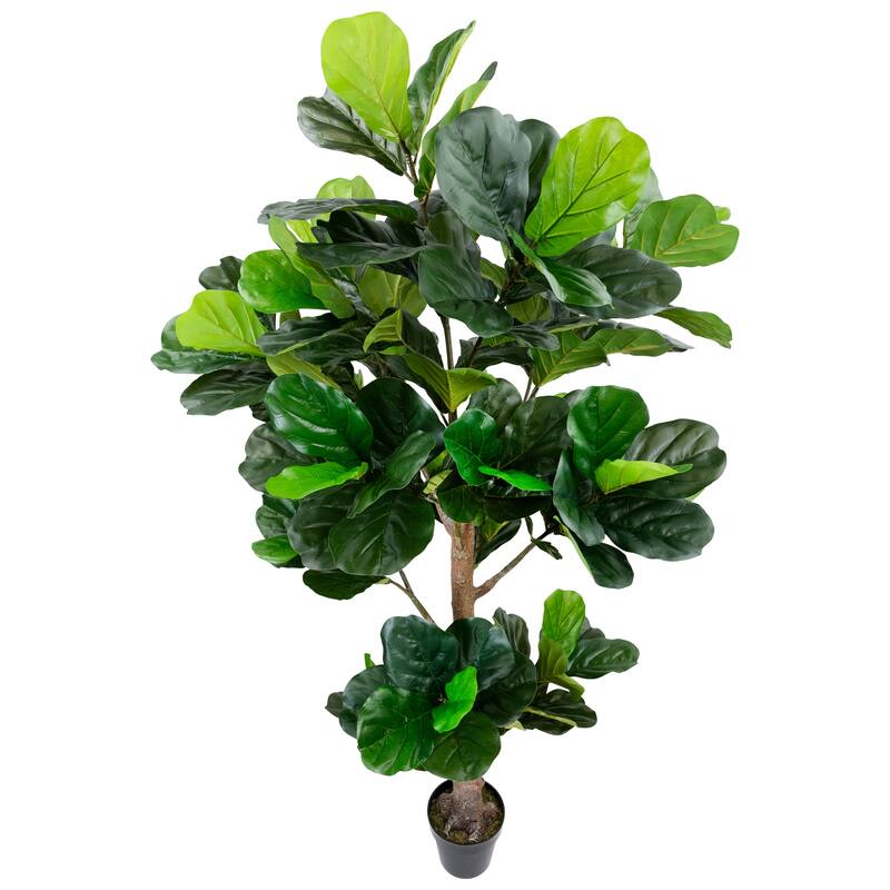 Potted Two Tone Green Artificial Wide Fiddle Leaf Fig Tree - 6.25'