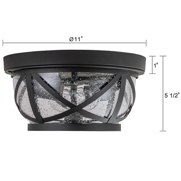 C Cattleya 2Light Matte Black Motion Sensing Outdoor Flush Mount Light
