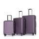3Pcs Purple Luggage Sets Lightweight Suitcase with TSA Lock - Bed Bath ...