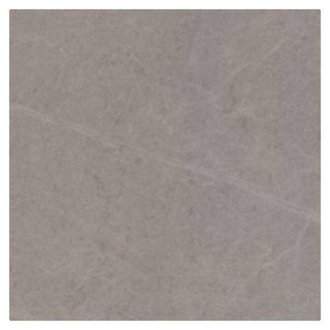 Shaw 441TS Fervor - 22" x 22" Floor and Wall Tile - Sold by Carton - Vision