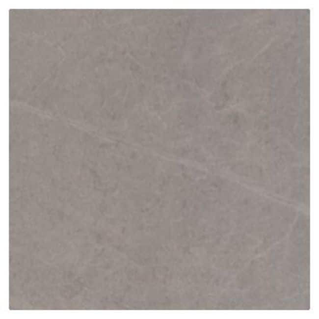 Shaw 442TS Fervor - 12" x 24" Floor and Wall Tile - Sold by Carton - Vision