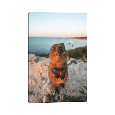 iCanvas "Cute Quokka By The Ocean" by James Vodicka Canvas Print