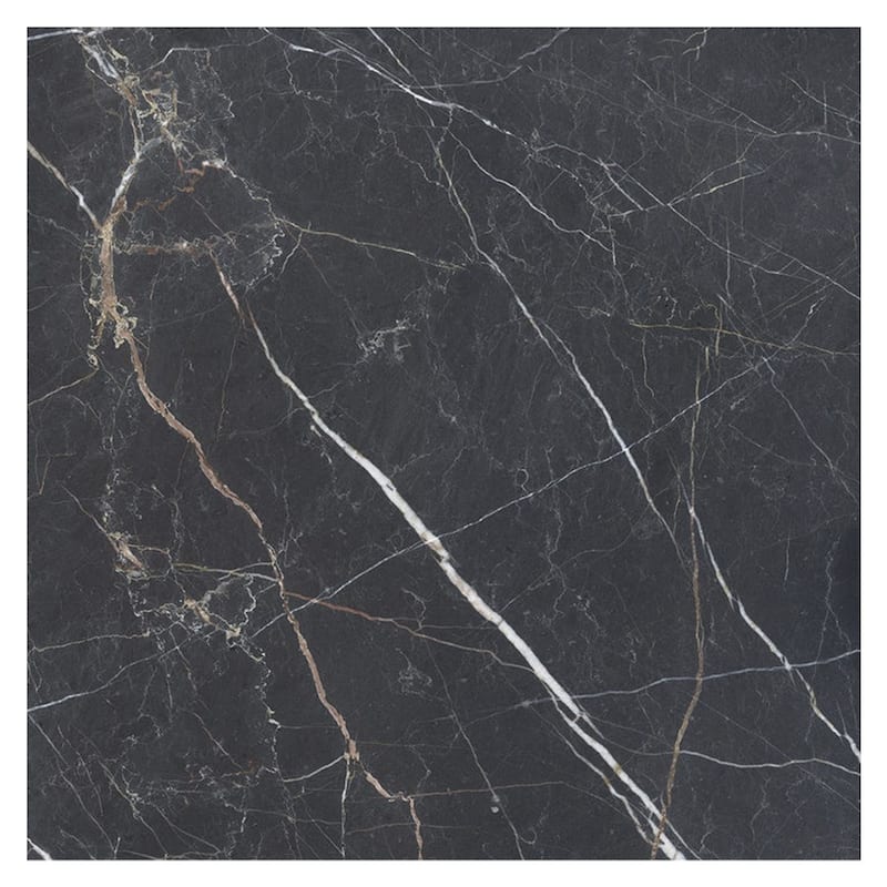 Splendor 48x48 Charcoal Black Porcelain Large Format Sqaure Veining Wall and Floor Tile (15.5 sq ft/case) - 1 Pack
