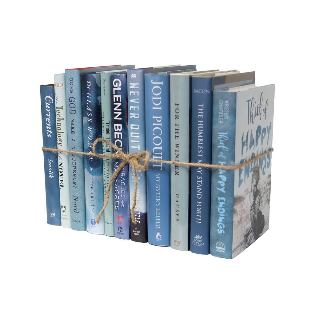 Books Blue Decorative Accessories: Storm Dust Jacket ColorPak