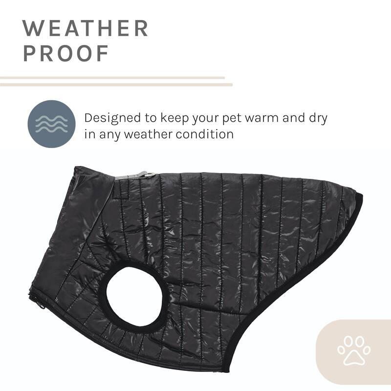 Monty Puffer Jacket In Black /Size: Large