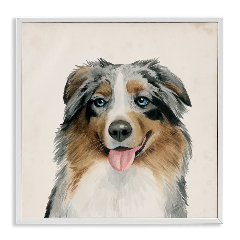 Stupell Soft Charming Australian Shepard Dog Portrait Framed Wall Art,12x12 - 17 x 17 - White