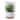 Avanti Linens Viva Palm Tumbler - Green