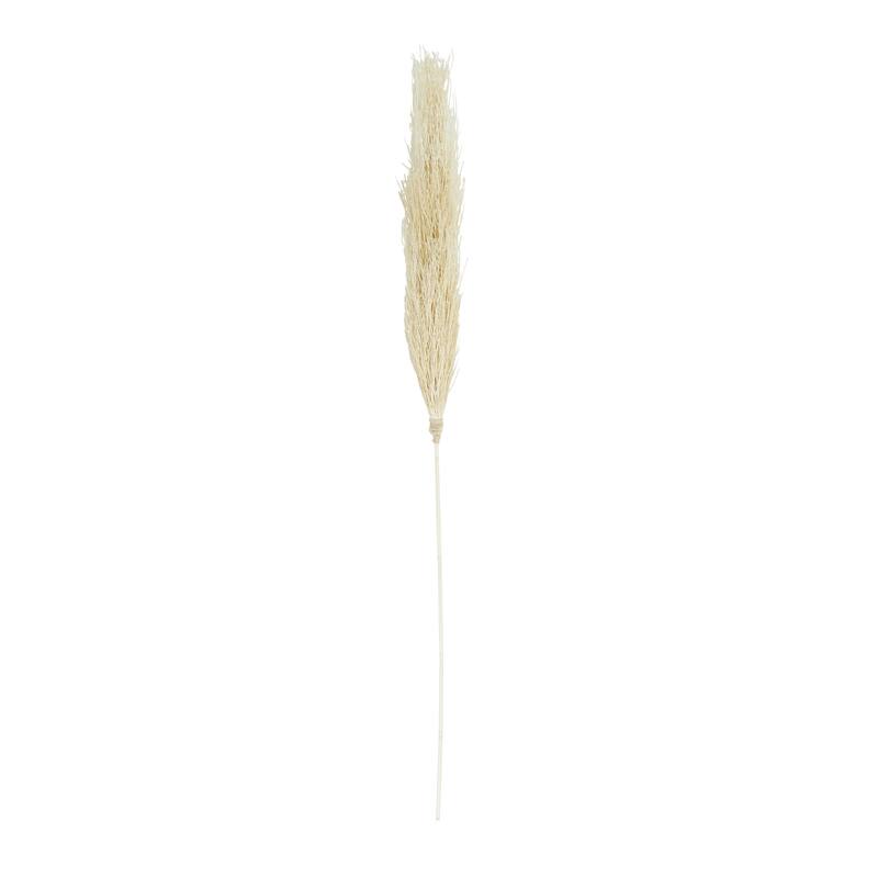 Dried Plant Pampas Grass Tall Home Decor Natural Foliage - Brown - Roche River Decor