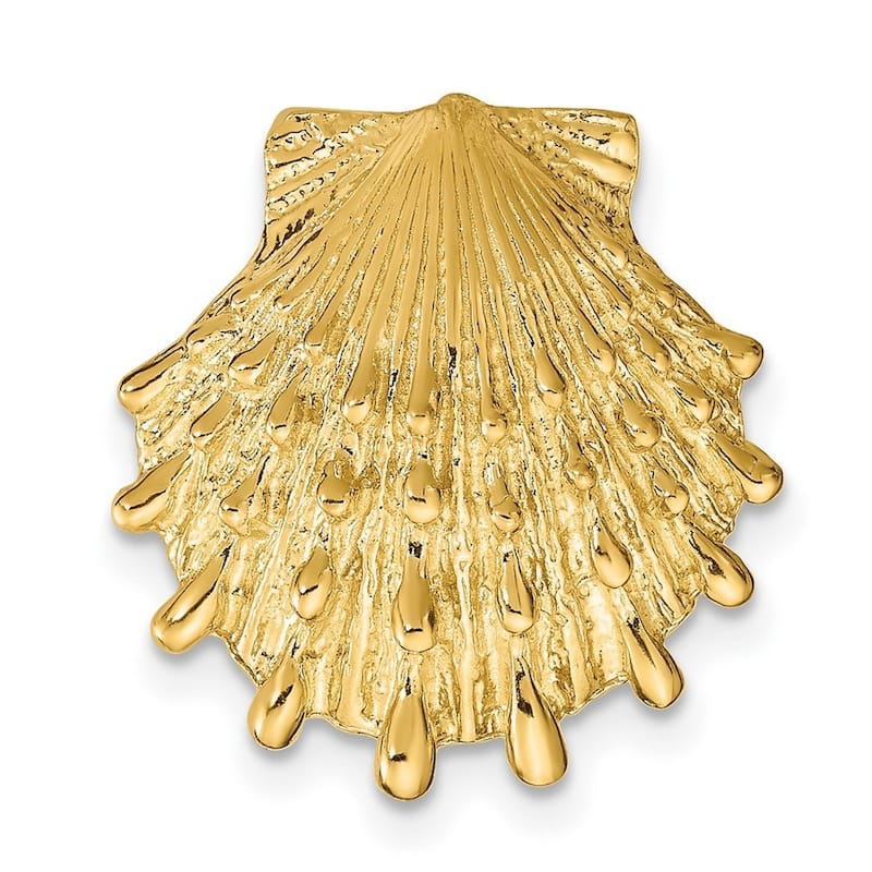 Curata 14k Yellow Gold Textured Lions Paw Shell Slide Pendant Necklace (16mm x 18mm)