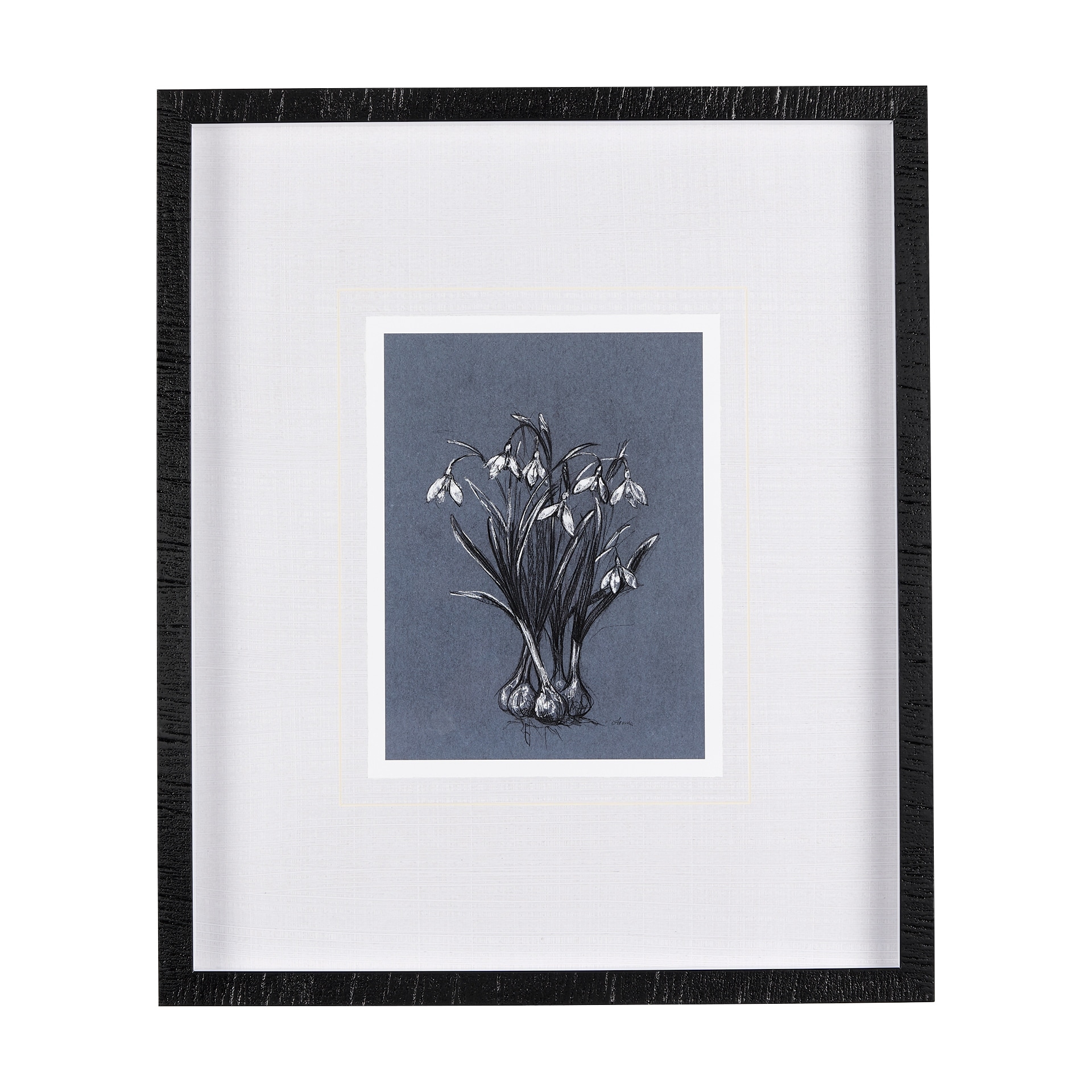 Mercana Botanical sketchesVI (Blue) by Mercana Studio Hand Embellished Framed Art Print Matted under Glass