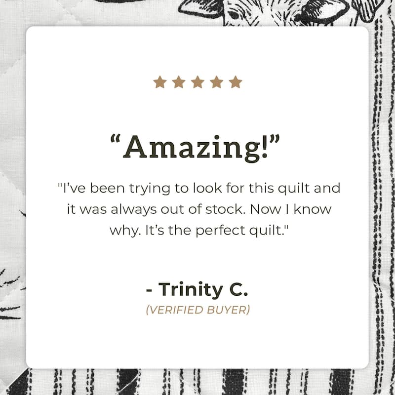 Paseo Road Ranch Life Western Cowboy White/Black 100% Cotton Rustic Toile Western Bedding 3 Piece Reversible Quilt Set