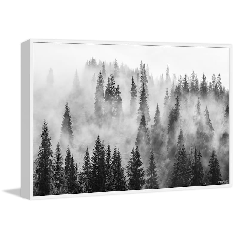 Fantasy of Nature Floater Framed Print on Canvas