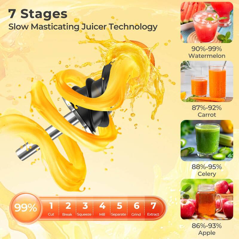 Costway Cold Press Juicer Machine Professional Slow Masticating Juicer - See Details