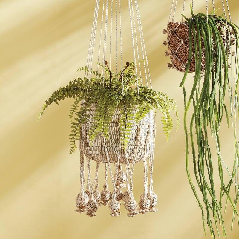 Boston Fern Drop-In 16" - Green