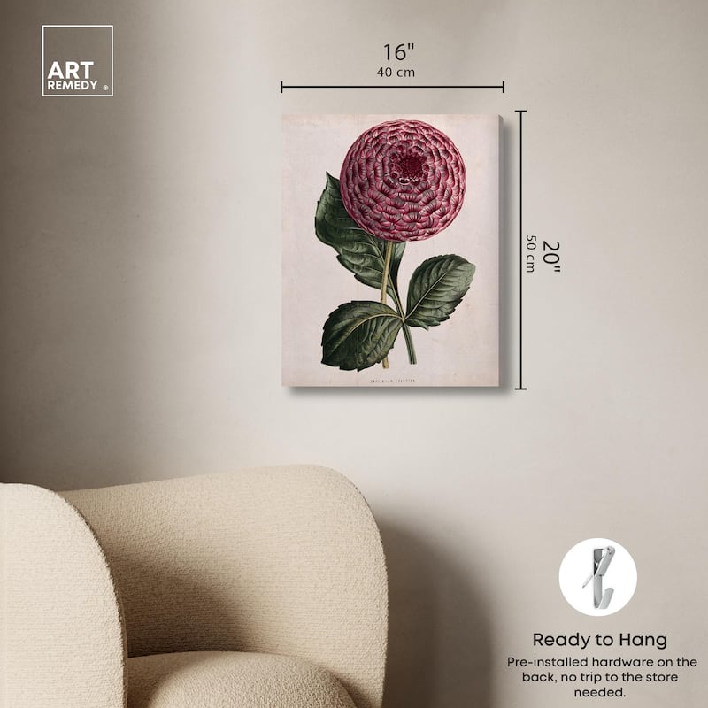 A dahlia Canvas by Art Remedy, Gallery Wrapped