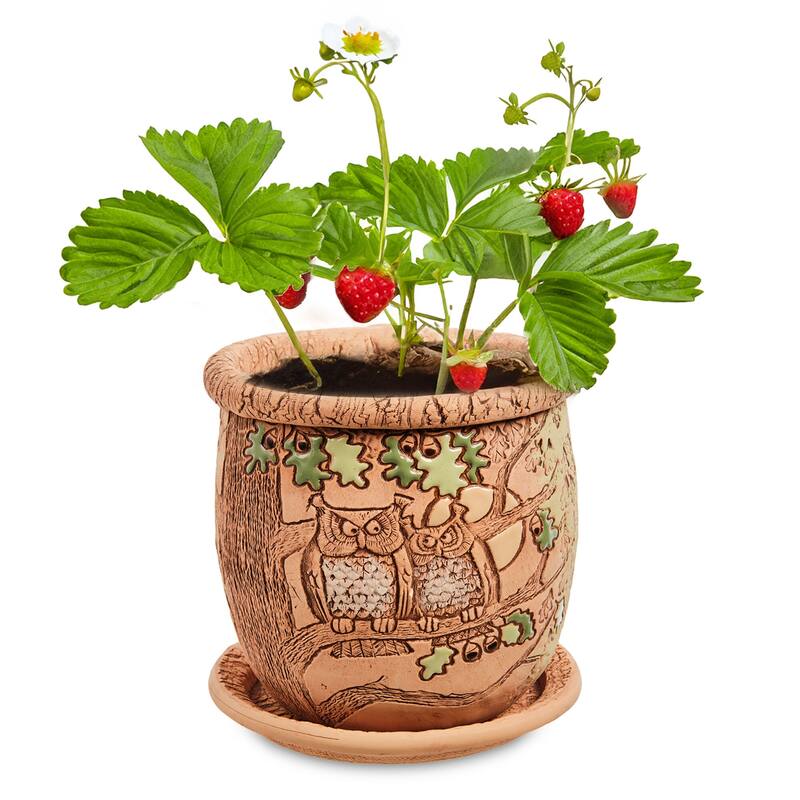 Golden Ceramics 5.9" Handmade Flower Pot Planter - Owls
