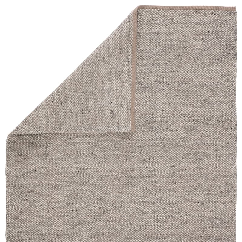 Kuisna Indoor/ Outdoor Solid PET Yarn Area Rug by Havenside Home