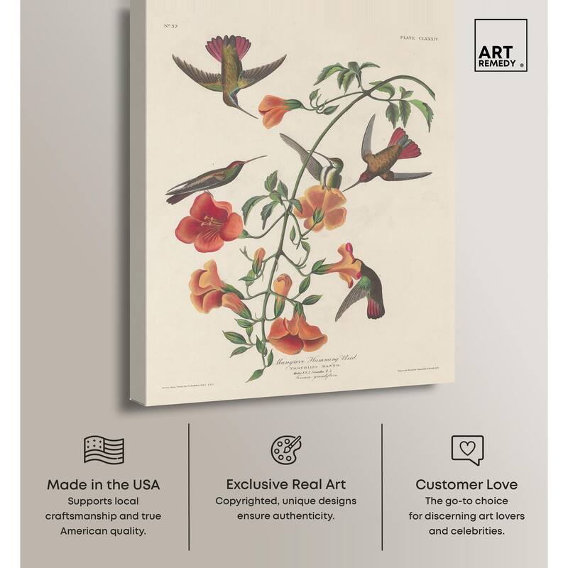 Humming Bird 1834 Canvas by Art Remedy, Gallery Wrapped