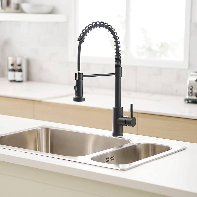 Single Handle Pull Down Kitchen Faucet with Double-Function - Black