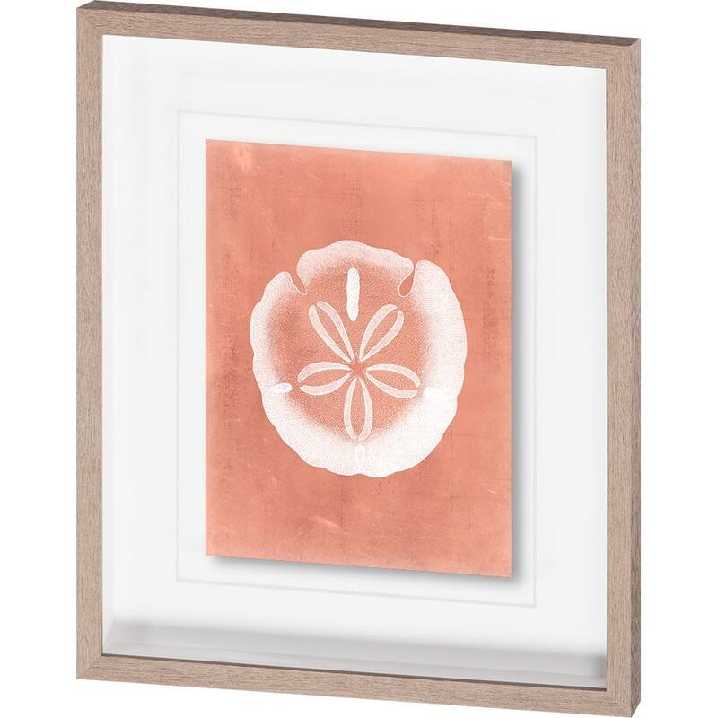 Sealife on Coral IX Framed Art Print