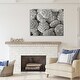 preview thumbnail 9 of 8, Stupell Pewter Sea Urchins Photography Canvas Wall Art Design by Graffi*Tee Studios