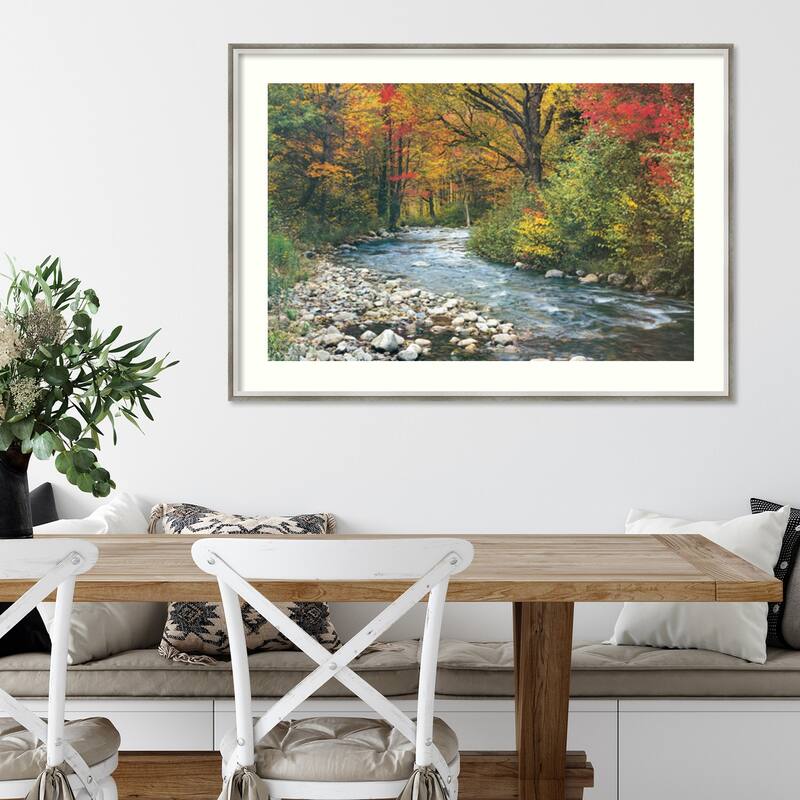 Forest Creek I Framed Art Print
