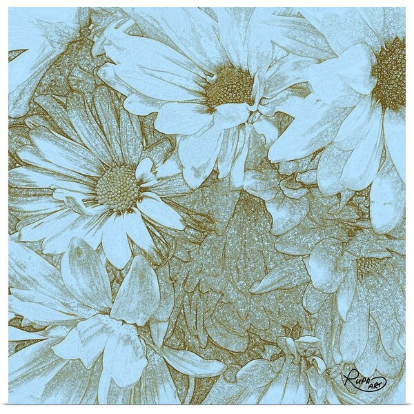 "Daisy Sketch II" Poster Print