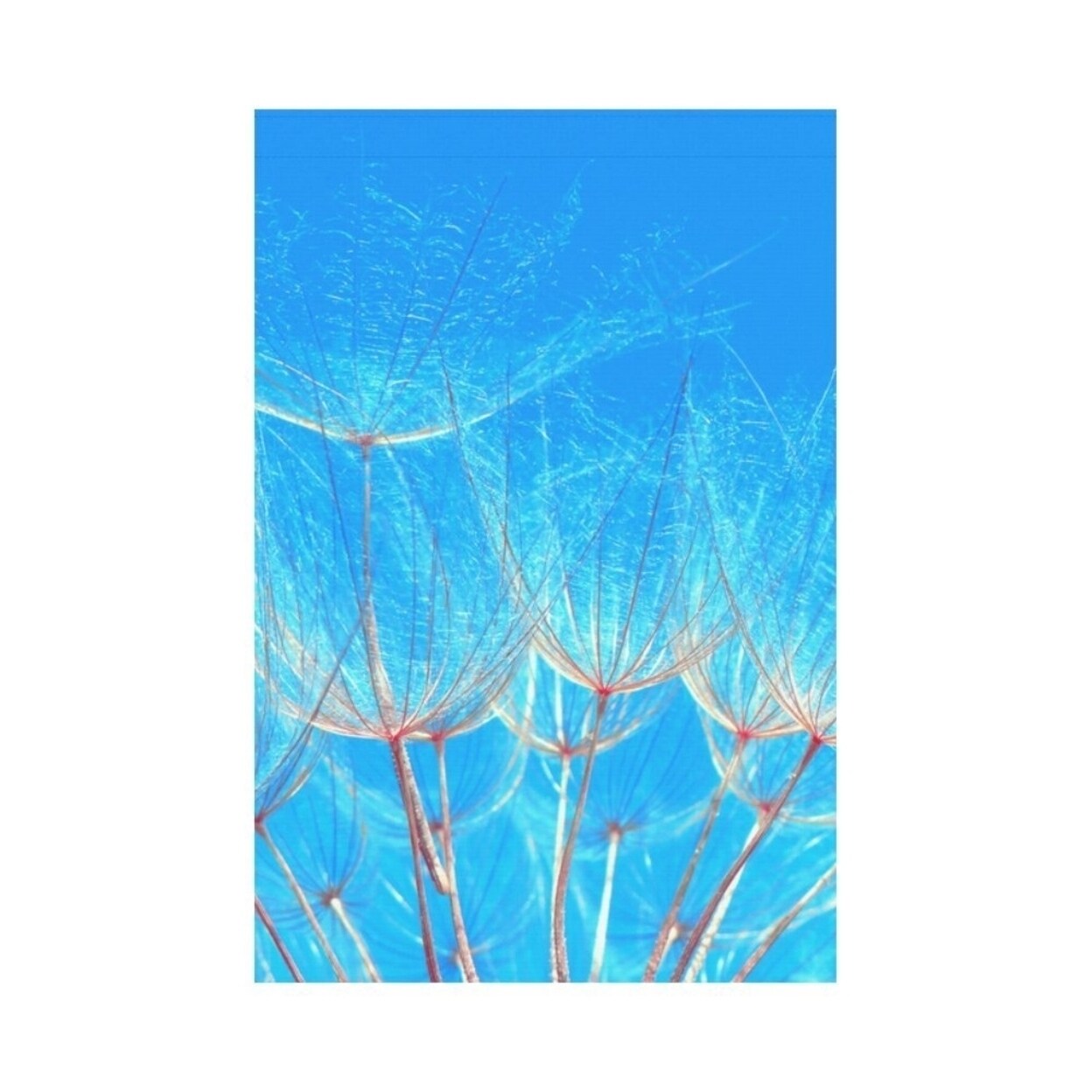 Shop Blue Dandelion Garden Flag Banner Decorative Flag For Wedding