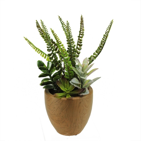 12" Potted Artificial Mixed Succulents and Fern Arrangement - N/A