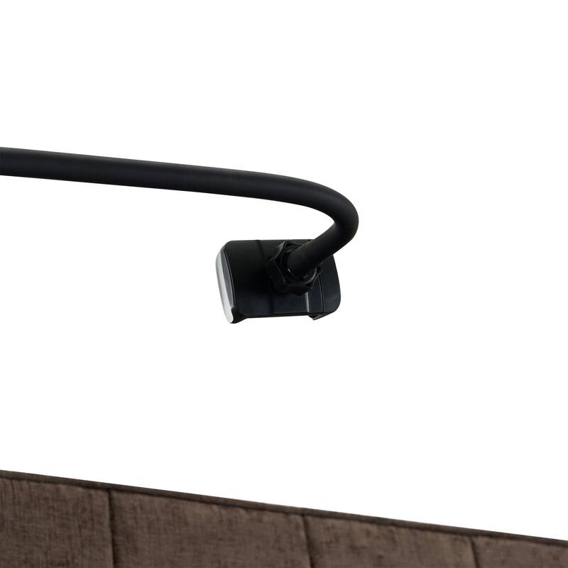 56.9 " Pull-Out Lounge Sofa Bed