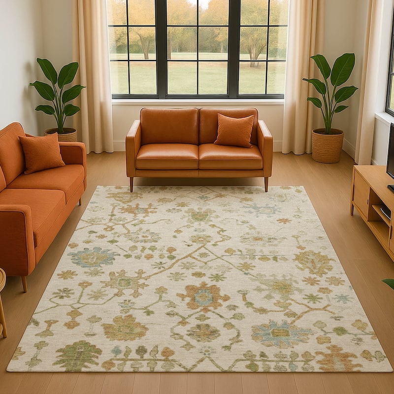 Premium Washable Super Soft Farmhouse Traditional Mayfield Rug - Ivory - 3' x 5'