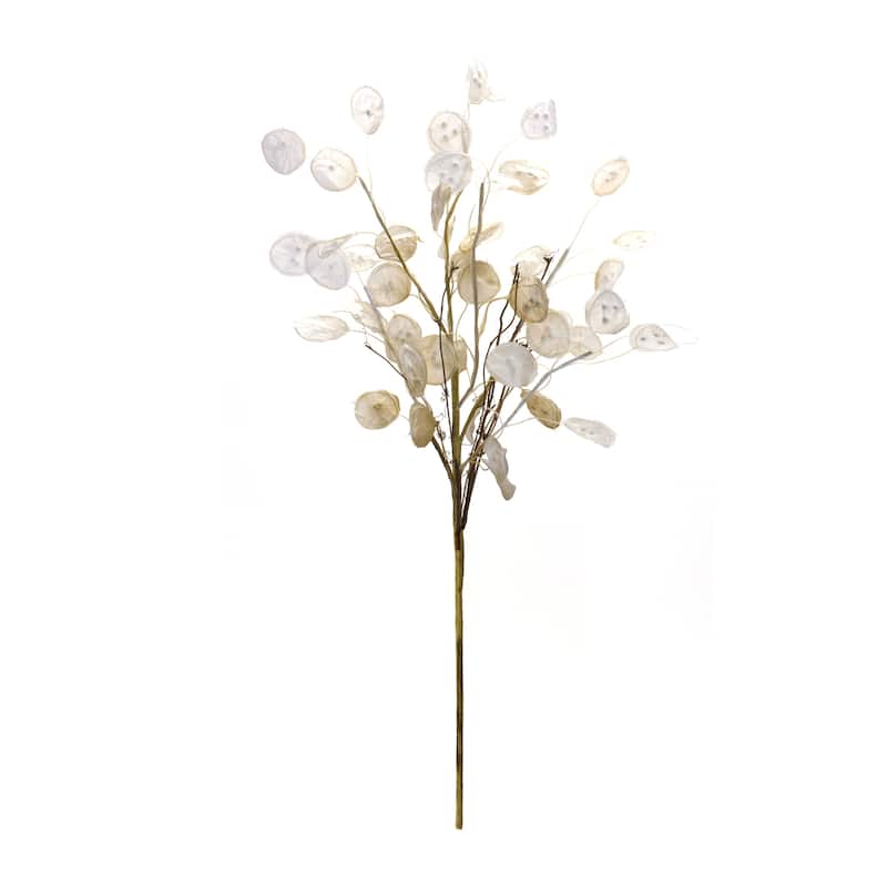 Silver Dollar Spray (Set of 6)