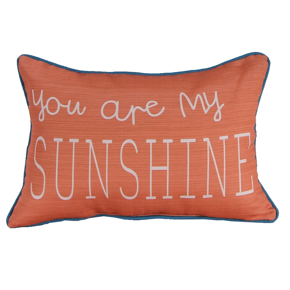 20" x 14" Novelty Indoor Lumbar Throw Pillow with Welt