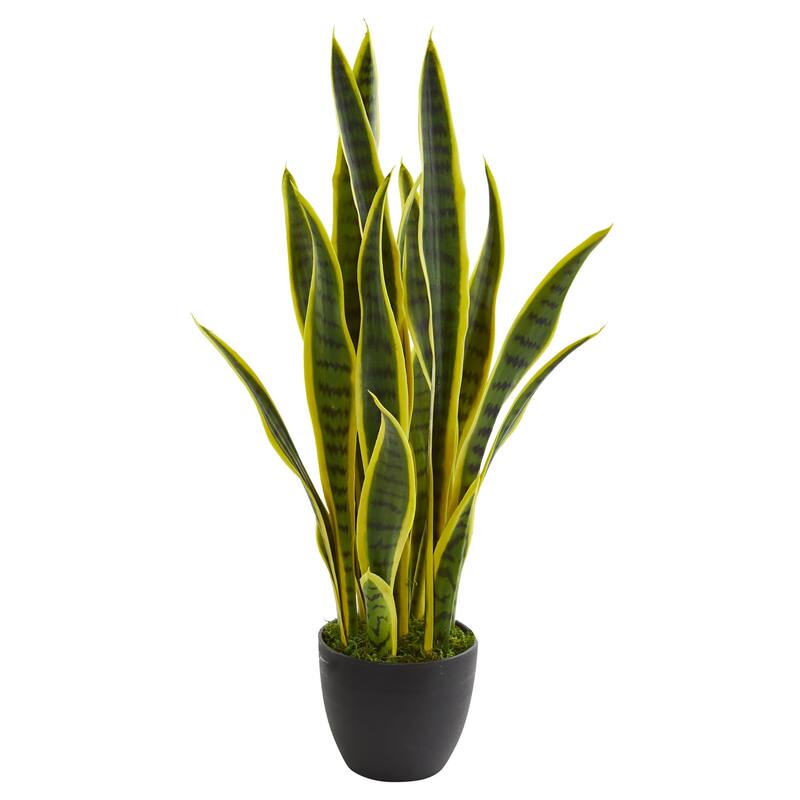 26" Sansevieria Artificial Plant - Green