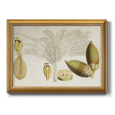 Tropical Foliage & Fruit VIII Premium Framed Canvas- Ready to Hang