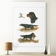 preview thumbnail 10 of 8, Gordon Setter -Premium Gallery Wrapped Canvas