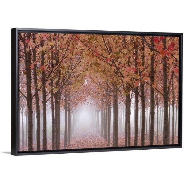 Shop Usa Oregon Willamette Valley Autumnal Maple Trees In