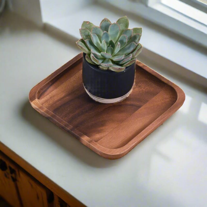 Square Plates - Large - S/2