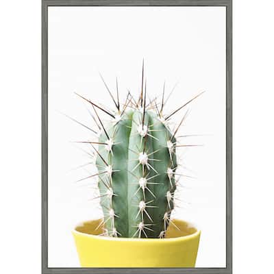 Spikey Cactus by Kathrin Pienaar Framed Canvas Wall Art Print - Sylvie Greywash