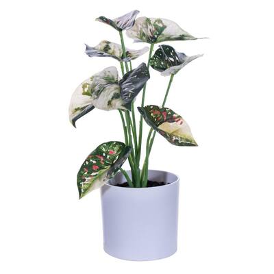 Vickerman 11.5" Artificial Green Variegated Leaves in Pot. Includes two pieces per bag.