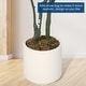 preview thumbnail 11 of 17, 6 FT Artificial Eucalyptus Tree with Round Leaves,Realistic Fake Indoor Outdoor Plant in White Pot