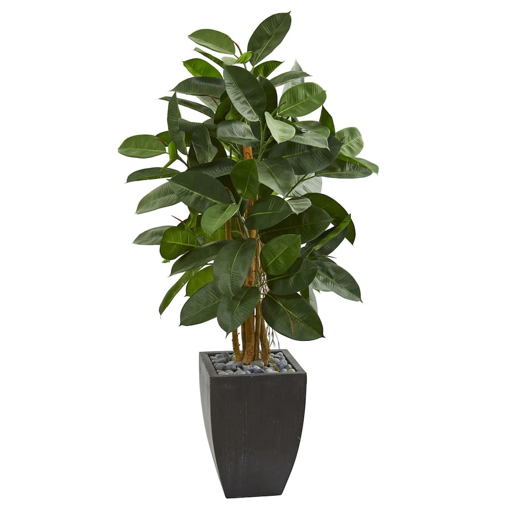 Artificial Rubber Tree 56 Inch Indoor Floor Plant in Black Planter - Green - 51-60 Inches