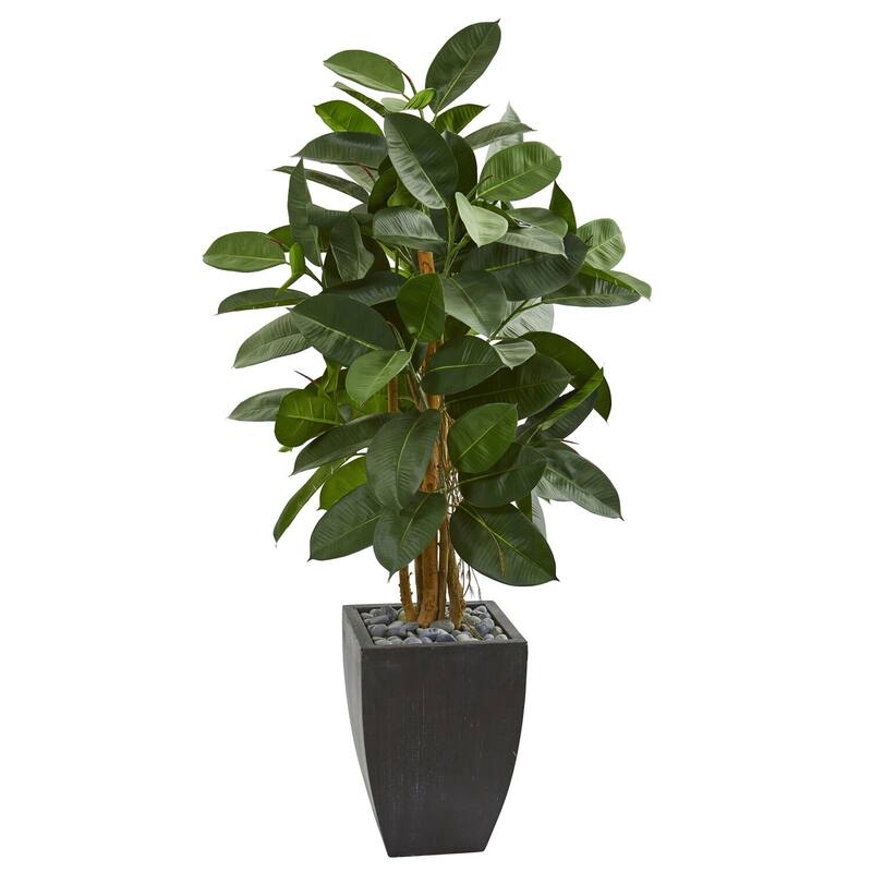 Artificial Rubber Tree 56 Inch Indoor Floor Plant in Black Planter - Green - 51-60 Inches