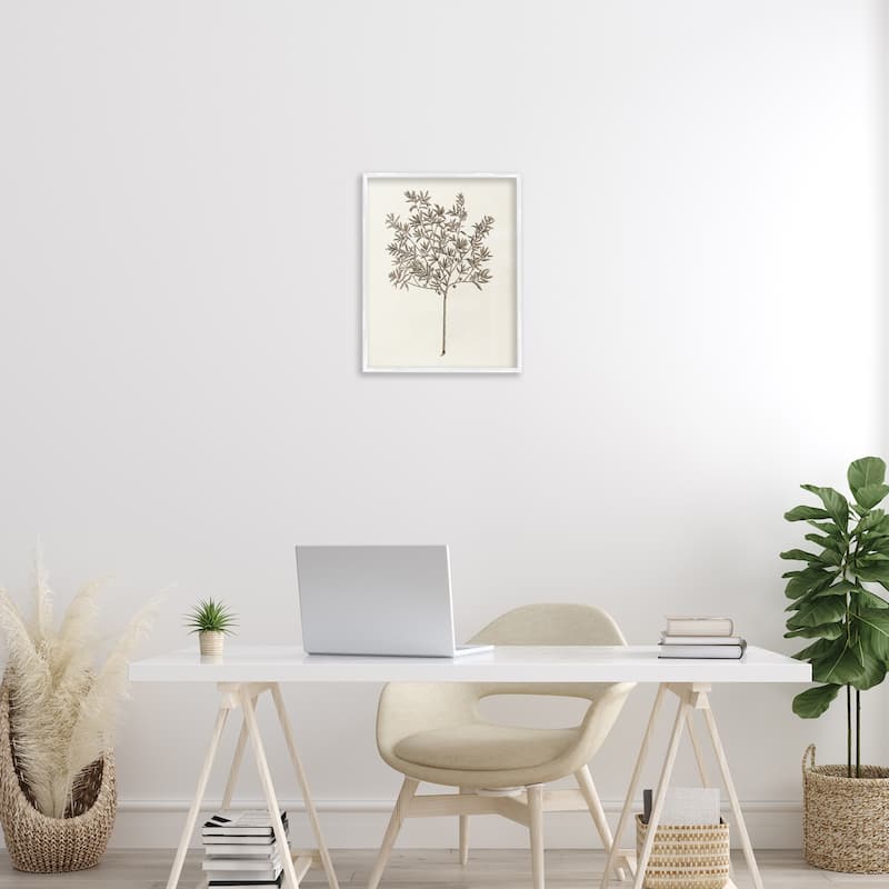 Stupell Vintage Study of Olive Tree Framed Giclee Art Design By Phillipa Katz