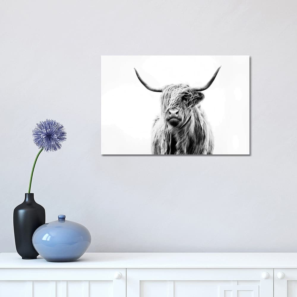 iCanvas 'Portrait Of A Highland Cow' Canvas Print by Dorit Fuhg