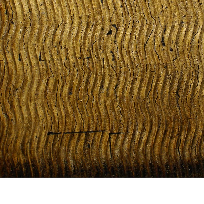 Modern Style Wood Wall Decor with Patterned Carving, Large, Gold & Brown - 6 x 12