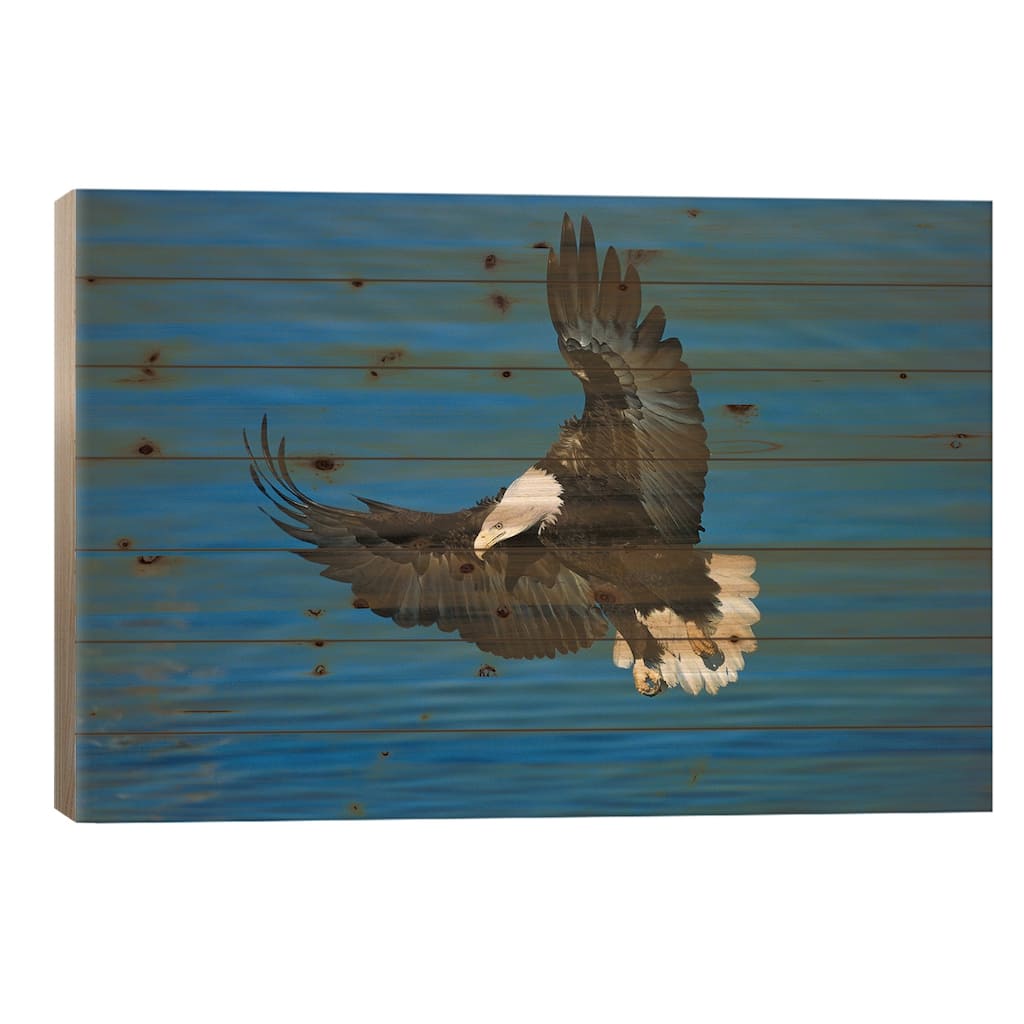 Bald Eagle Flying Over Water, Kenai Peninsula, Alaska Print On Wood by Tom Vezo - Multi-Color