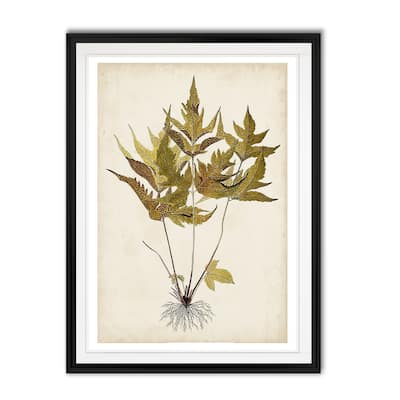 Fern Botanical II -Custom Framed Print