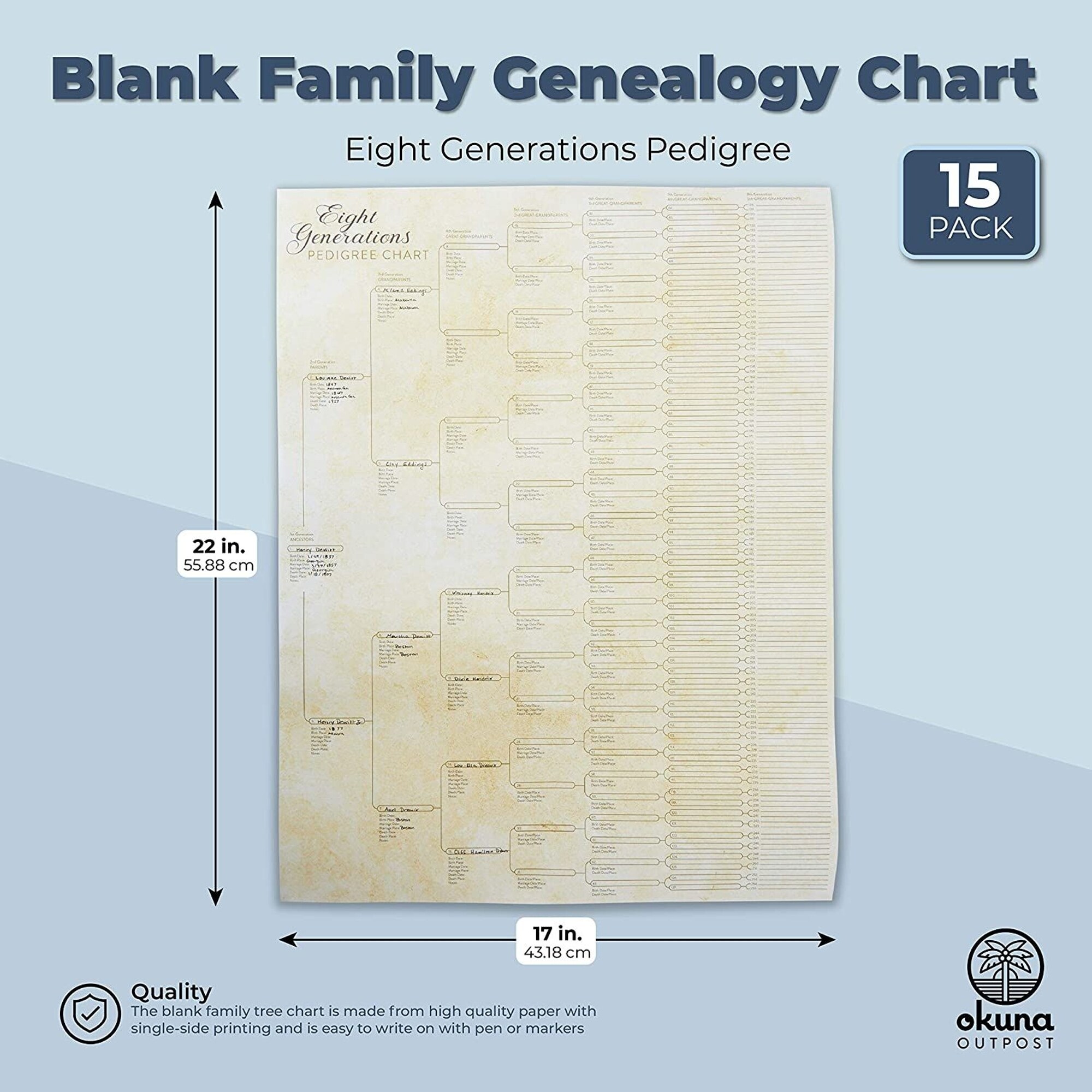 15 Pack Family Tree Charts to Fill In, Blank Eight Generation Genealogy  Poster (17 x 22 In) - On Sale - Bed Bath & Beyond - 37386449