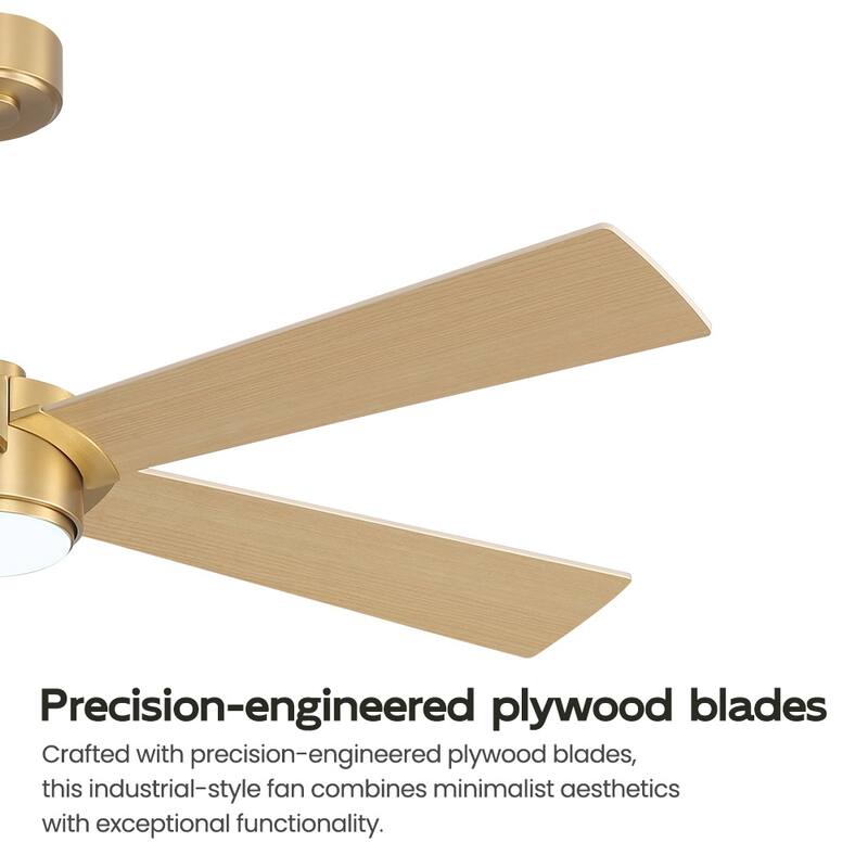 MLiAN 54 In. 5 Blades Indoor LED Ceiling Fan with Remote Control - 54"